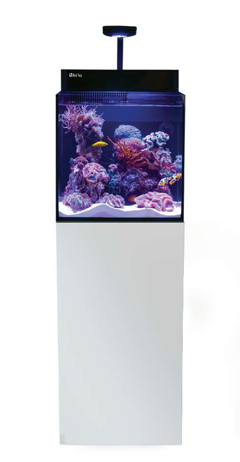 REEFER MAX NANO